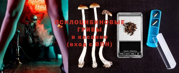 ГАЛЛЮЦИНОГЕННЫЕ ГРИБЫ Баксан