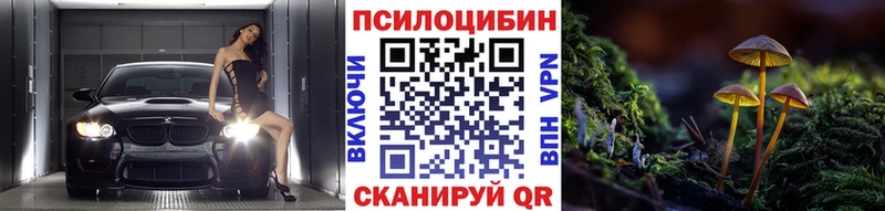 блэк спрут ТОР  Суворов  Галлюциногенные грибы Cubensis 